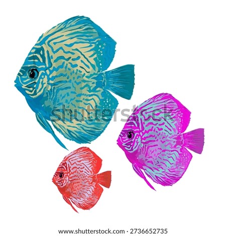illustration of a collection of a group of Discus fish (genus Symphysodon)