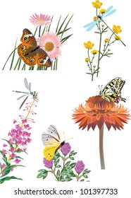 illustration with collection of insects on flowers