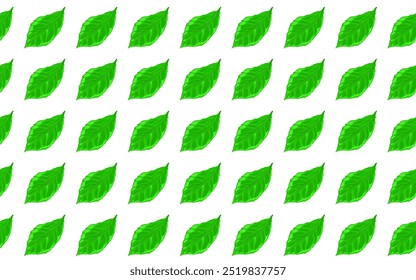 illustration of a collection of leaves without a background