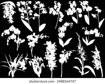 illustration with collection of orchid silhouettes isolated on black background