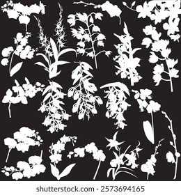 illustration with collection of orchid silhouettes isolated on black background