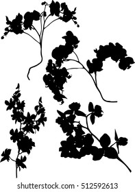 illustration with collection of orchid silhouettes isolated on white background