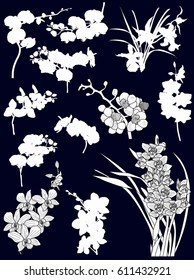 illustration with collection of orchid silhouettes isolated on black background