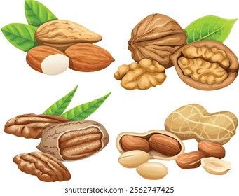 illustration collection of peeled and whole almonds isolated on white background