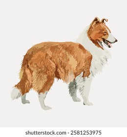 Illustration of a Collie dog with a fluffy coat. The Collie stands with a fluffy tail and ears perked. Collie breed known for its fluffy and friendly nature. Vintage dog illustration isolated, vector.