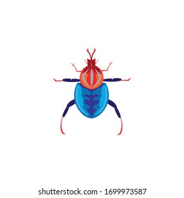 illustration of color beetle vector design detail