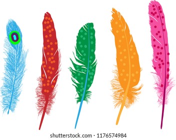 illustration with color feathers isolated on white background