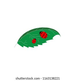 Illustration color ladybird silhouette on green leaf. Cute colorful sign red insect symbol spring, summer, garden. Template for t shirt, apparel, card, poster. Design element Vector illustration