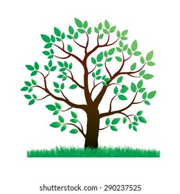 Illustration of Color Tree and Grass