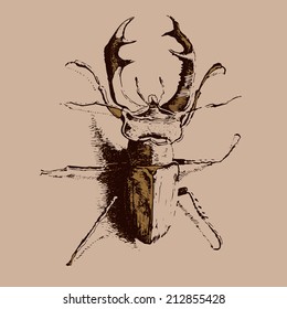 illustration with colored beetle deer on a light background( lucanus  cervus)