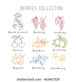 Illustration of colored berries collection. It can be used for design menu, packaging