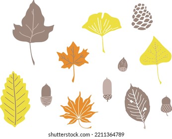 Illustration colored with four colors of fallen leaves and acorns