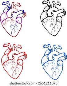 Ilustración de un corazón coloreado