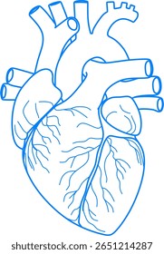 illustration of a colored heart