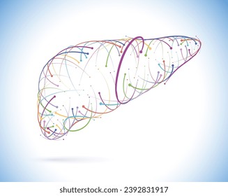 Illustration of colored lines and intersections of human liver, modern style, on white background. It is used in medicine, commerce, industry and education.