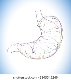 Illustration of colored lines and intersections of a modern style stomach on a white background. It is used in medicine, commerce and education.