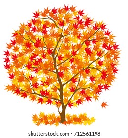 Illustration of a colored maple tree,vector data
