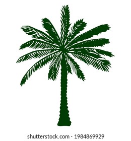 Illustration of  colored  palm tree in doodle style for design, website, background, banner.
Hand drawing floral on beach. Travel and vacation ink element template
