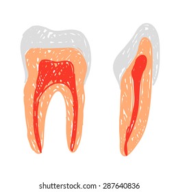 Illustration of colored teeth - doodle or sketch style
