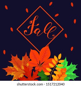 Illustration with colorful autumn leaves and lettering for bright, seasonal design, vector illustration