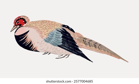 Illustration of a colorful bird with intricate patterns. The bird features vibrant feathers, detailed plumage, and a striking design. Bird art with vivid colors. Vintage illustration isolated, vector.