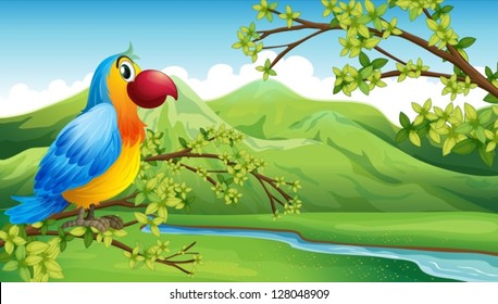 Illustration of a colorful bird near the mountain