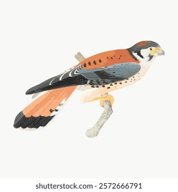 Illustration of a colorful bird perched on a branch. The bird features vibrant orange, blue, and black feathers. Detailed bird art on a white background. Vintage animal illustration, vector isolated.