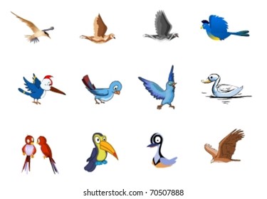illustration of  colorful birds collection