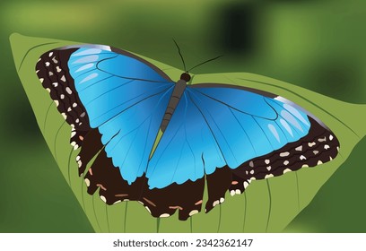 illustration with colorful buterfly on the leaf