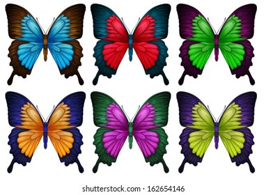 Illustration of the colorful butterflies on a white background