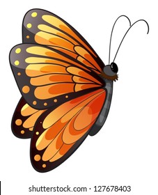 Illustration of a colorful butterfly on a white background