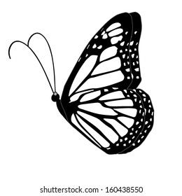 Illustration of a colorful butterfly on a white background 