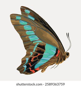 Illustration of a colorful butterfly with vibrant wings. The butterfly's wings display intricate patterns. A beautiful butterfly in detailed art. Vintage animal illustration vector.