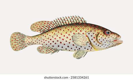 Illustration of a colorful fish with red spots, detailed scales, and fins. The fish features vibrant red spots and intricate scales, showcasing vivid red spots. Vintage fish illustration vector.