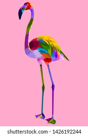 illustration colorful flamingo isolated on pop art