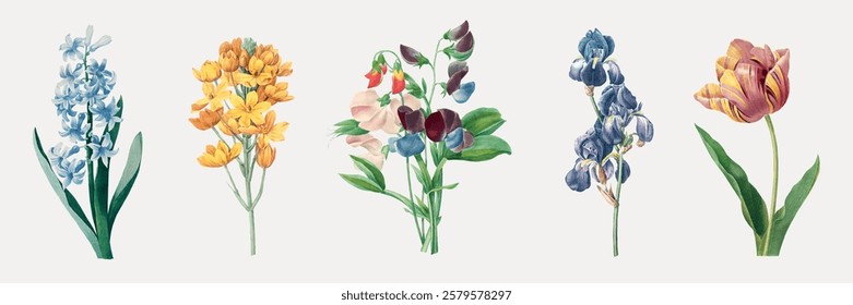 Illustration of colorful flowers: blue, yellow, pink, purple, and red blooms. Vibrant flowers, diverse flowers, artistic flowers in a row. Spring illustrations, vector set.