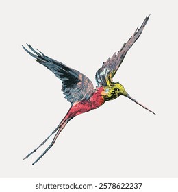 Illustration of a colorful hummingbird in flight. Vibrant hummingbird with extended wings. Artistic hummingbird design with vivid colors and dynamic pose. Vintage bird illustration vector.