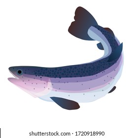 Illustration colorful of a leaping Rainbow Trout in jump. Salmon fish.