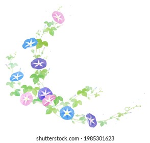 Illustration of colorful morning glory flowers on white background
