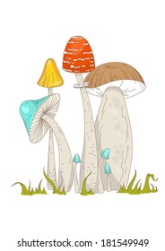 Illustration of colorful mushrooms