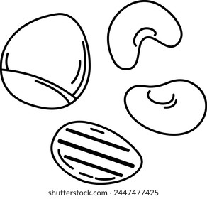 illustration of colorful nut outline white on background vector