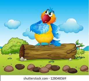 Illustration of a colorful parrot
