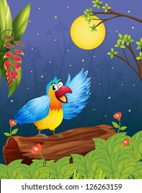 Illustration of a colorful parrot in a bright evening