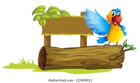 Illustration of a colorful parrot on a white background