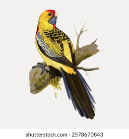 Illustration of a colorful parrot perched on a branch. The parrot features vibrant yellow, red, and blue feathers. Detailed parrot artwork on a light background. Vintage bird illustration vector.