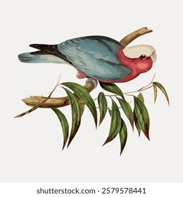 Illustration of a colorful parrot perched on a branch. The parrot features vibrant red and blue feathers. Leaves add a natural touch to the parrot scene. Vintage bird illustration vector.