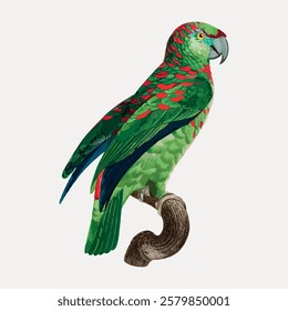 Illustration of a colorful parrot perched on a branch. The parrot features vibrant green and red feathers. Detailed parrot design with a natural setting. Vintage bird illustration vector.