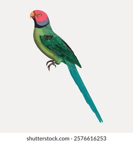 Illustration of a colorful parrot with a pink head, green body, and long blue tail. The parrot's vibrant colors and detailed feathers stand out. Vintage animal illustration isolated on white, vector.