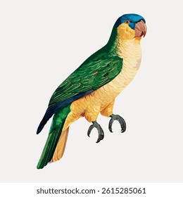 Illustration of a colorful parrot with vibrant green and yellow feathers. The parrot has a blue head and is perched, showcasing its detailed plumage. Vintage bird illustration, animal vector.