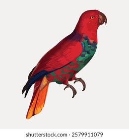 Illustration of a colorful parrot with vibrant red, green, and blue feathers. The parrot is perched, showcasing its vivid plumage and detailed design. Vintage bird illustration vector.